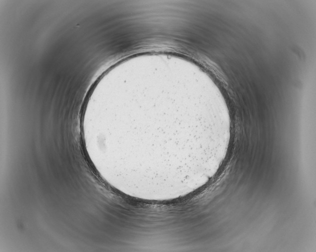 X0000110771226200907271157