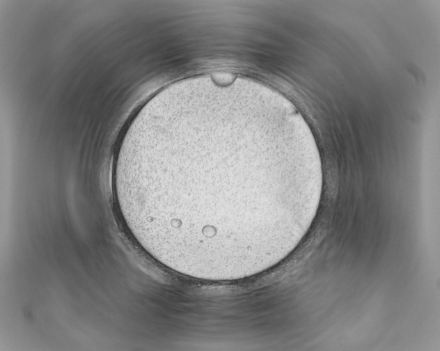 X0000110771227200907271157