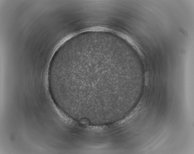 X0000110771229200907271157