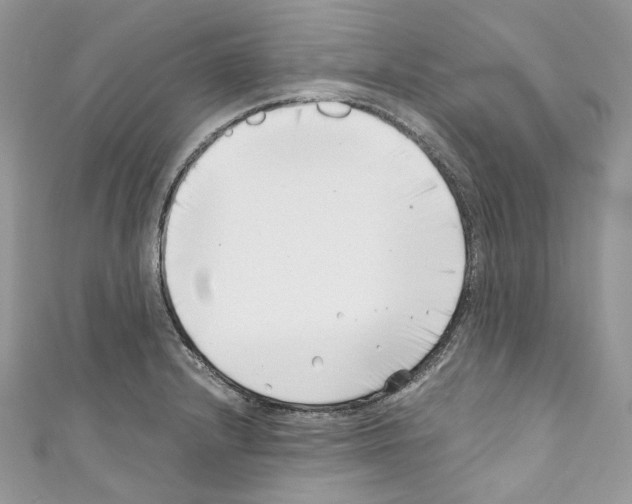 X0000110771232200907271157