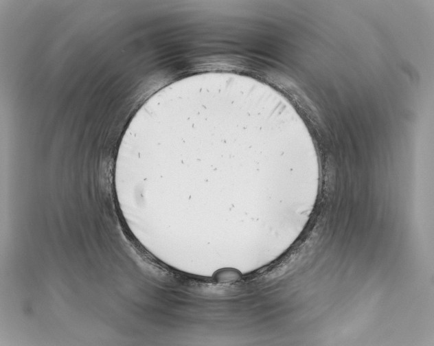 X0000110771233200907271157