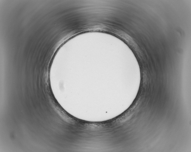 X0000110771234200907271157