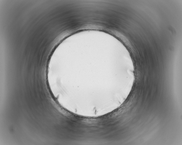 X0000110771237200907271157