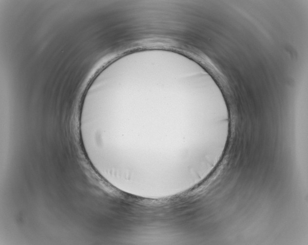 X0000110771240200907271157