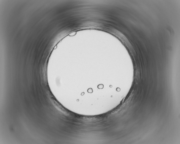 X0000110771242200907271157