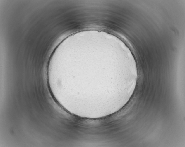 X0000110771243200907271157