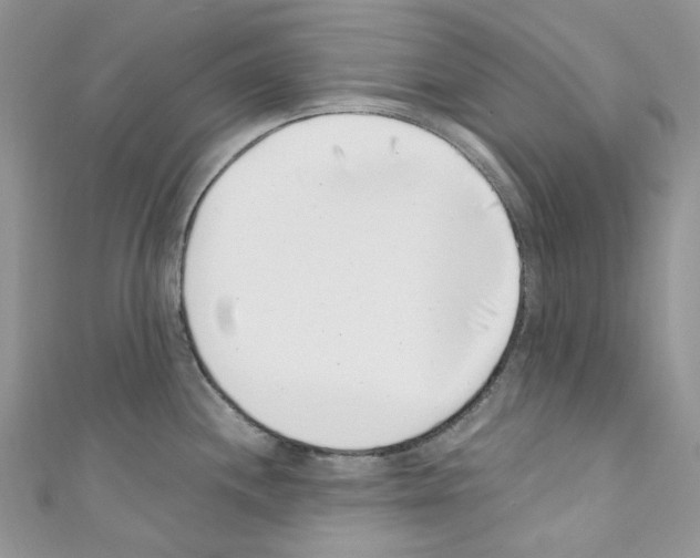 X0000110771244200907271157