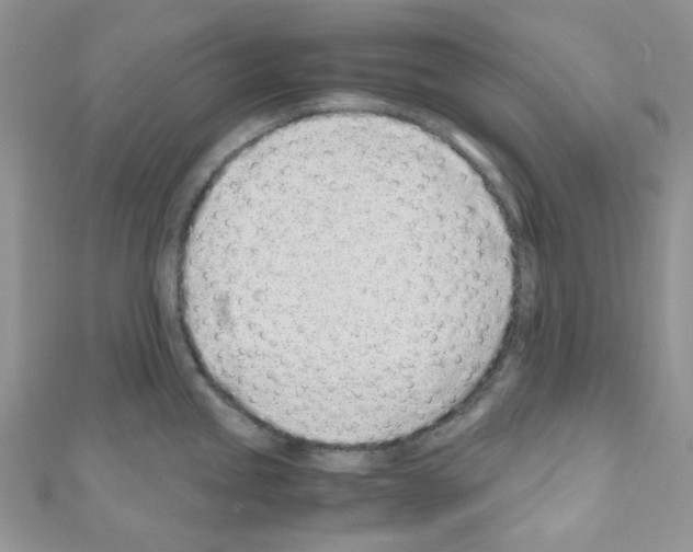 X0000110771245200907271157