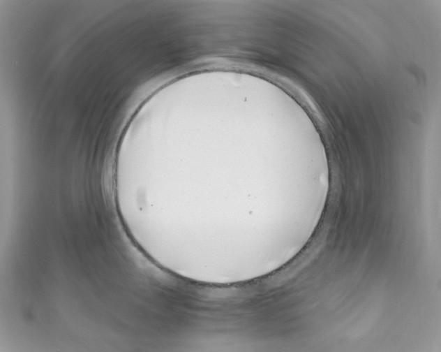 X0000110771247200907271157