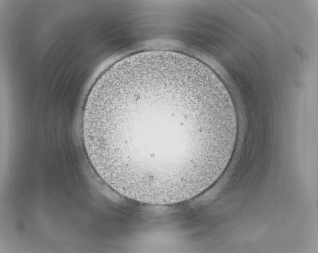 X0000110771248200907271157