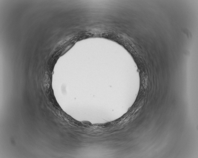 X0000110771253200907271157