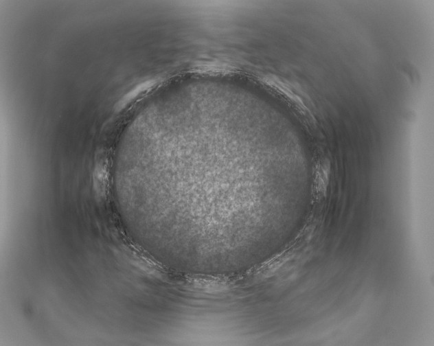 X0000110771254200907271157