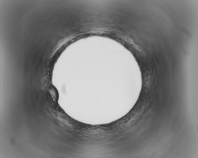 X0000110771256200907271157