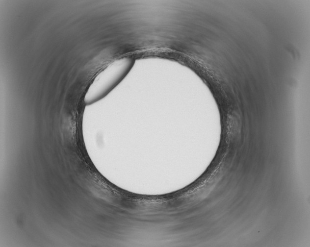 X0000110771257200907271157