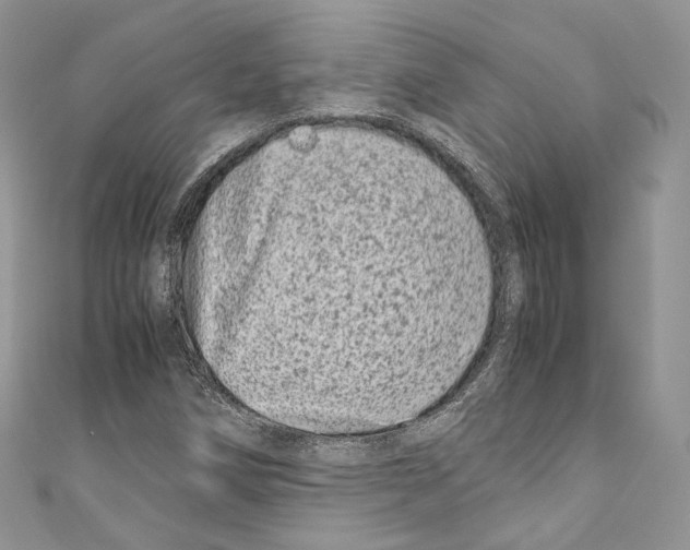 X0000110771258200907271157