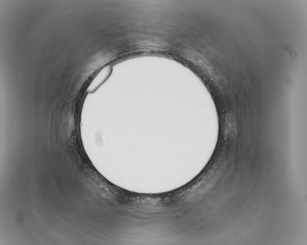 X0000110771261200907271157