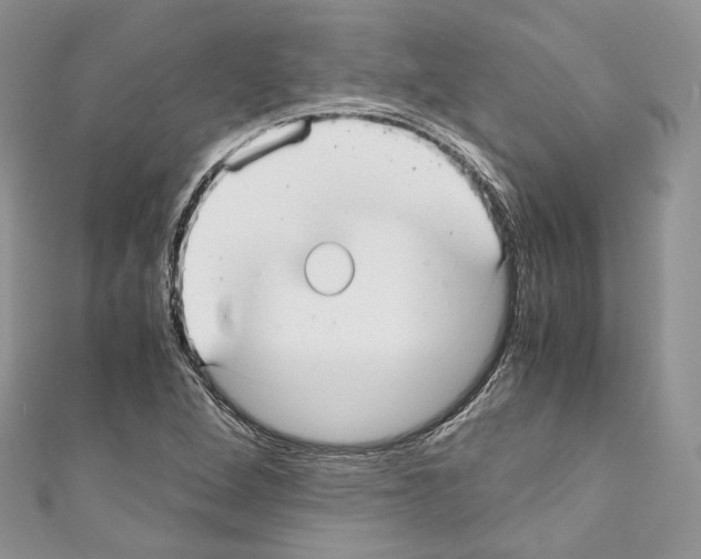 X0000110771264200907271157