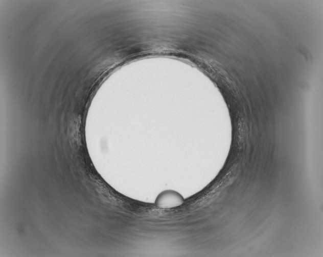 X0000110771265200907271156