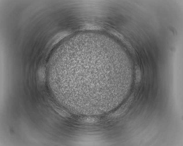 X0000110771266200907271156