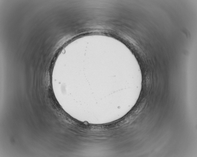 X0000110771267200907271156