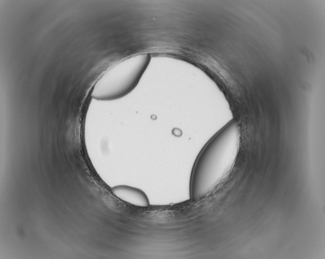 X0000110771268200907271156