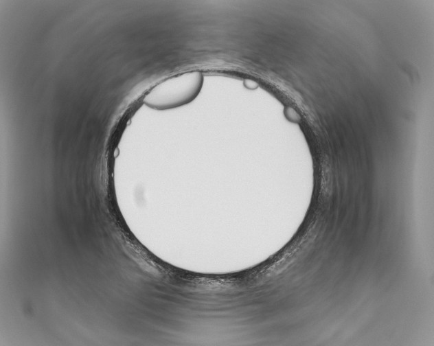 X0000110771270200907271156