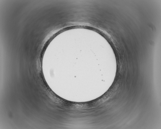 X0000110771271200907271156