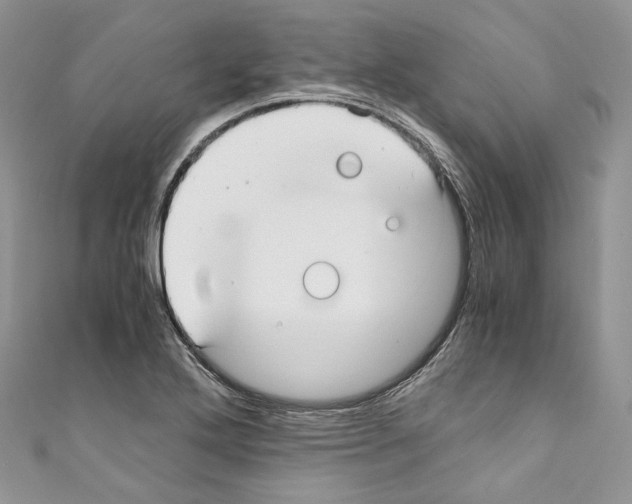 X0000110771272200907271156