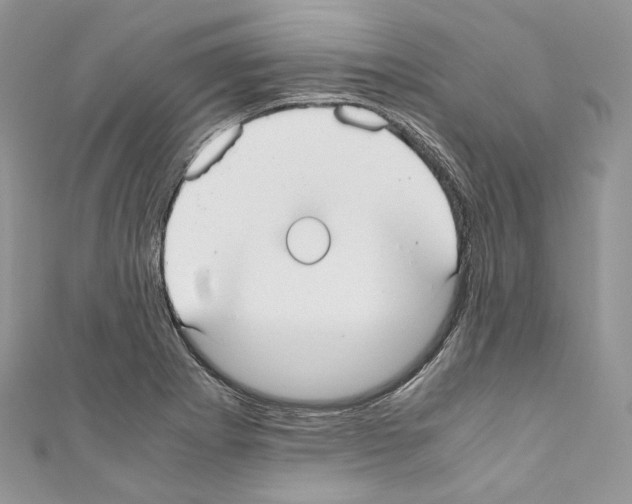 X0000110771273200907271156