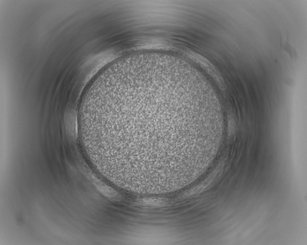 X0000110771274200907271156