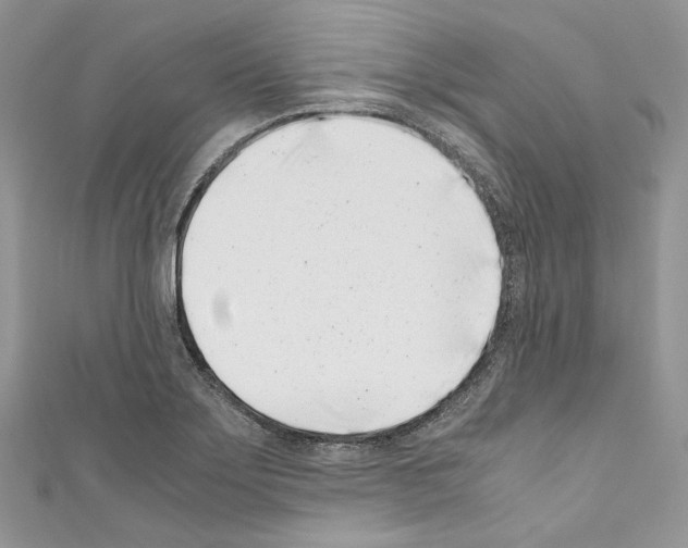 X0000110771275200907271156