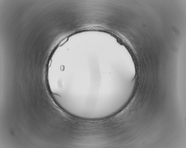 X0000110771277200907271156