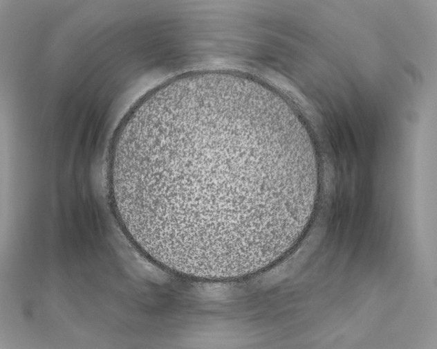 X0000110771278200907271156