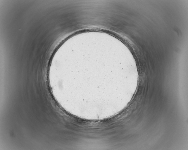 X0000110771279200907271156