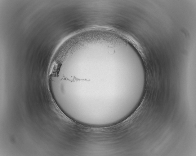 X0000110771280200907271156