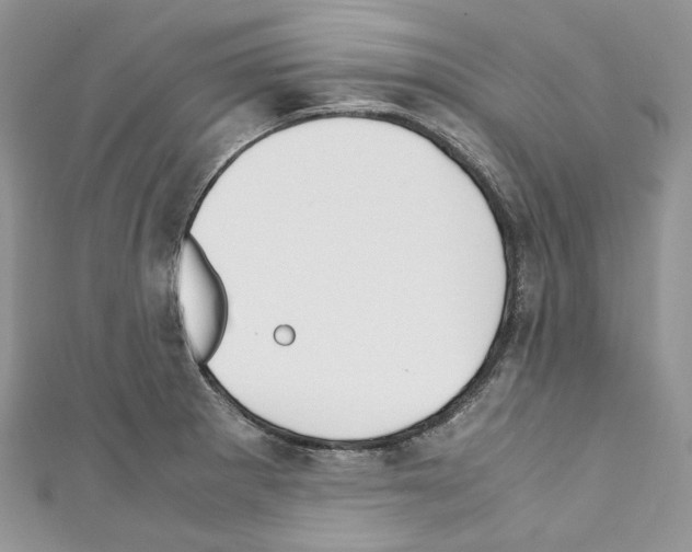 X0000110771281200907271156