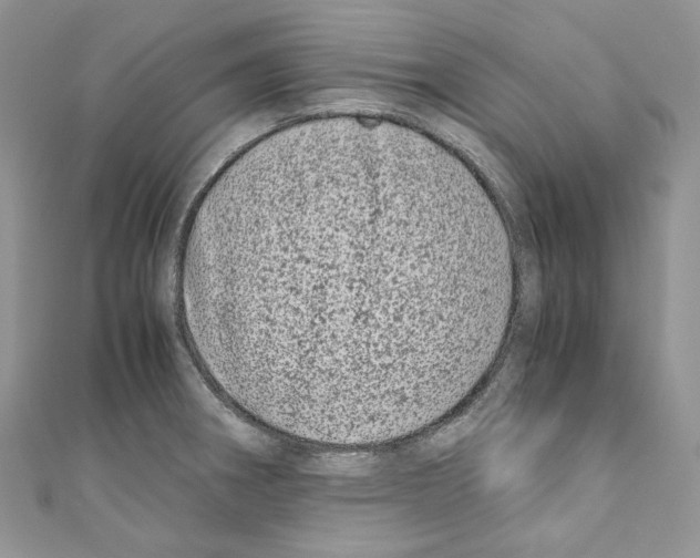 X0000110771282200907271156