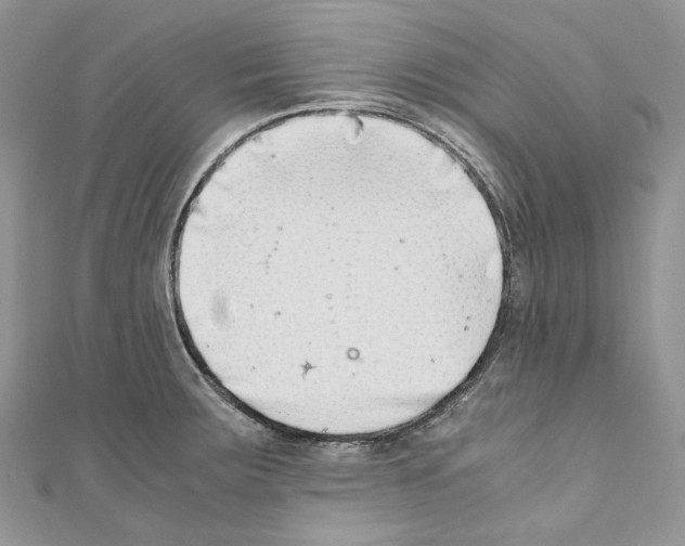 X0000110771283200907271156