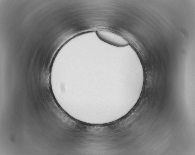 X0000110771284200907271156