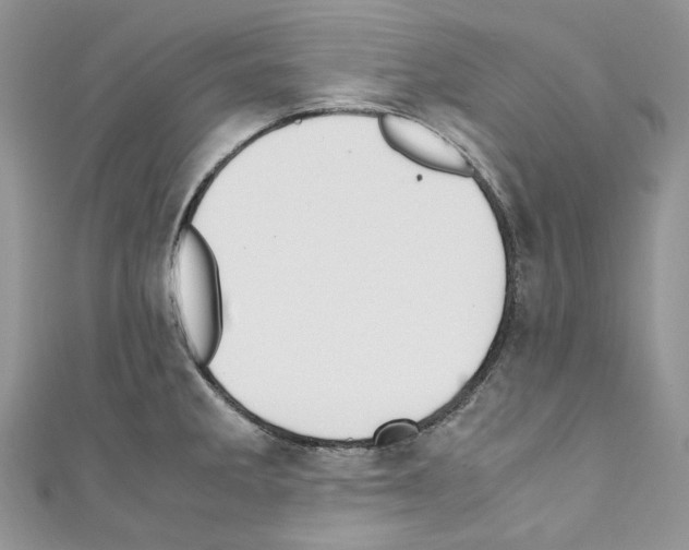 X0000110771285200907271156