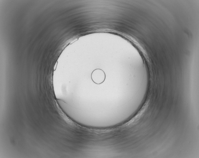 X0000110771289200907271156