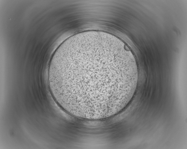 X0000110771290200907271156