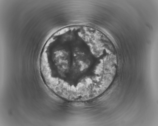 X0000110771291200907271156