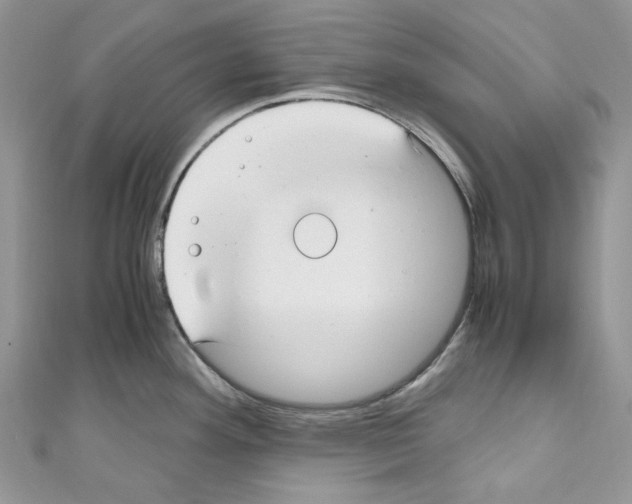 X0000110771292200907271156