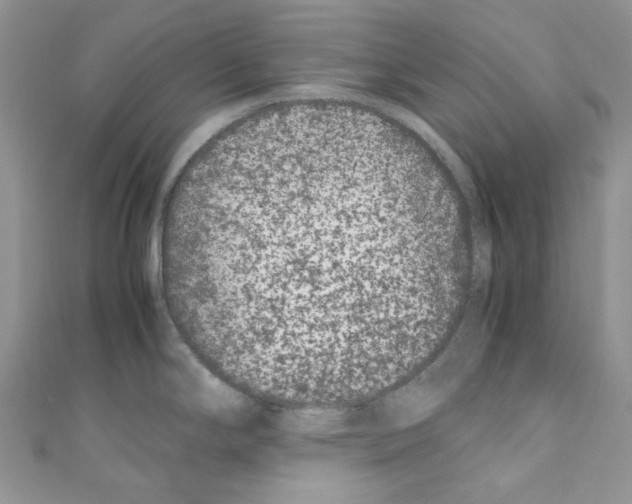 X0000110771294200907271156