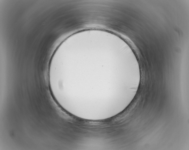 X0000110771295200907271156