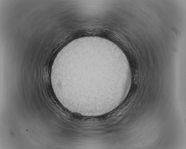 X0000110771298200907271155