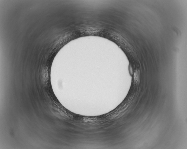 X0000110771299200907271156