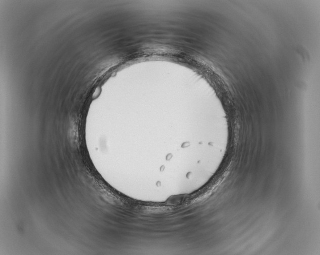 X0000110771305200907271156