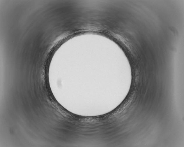 X0000110771307200907271156